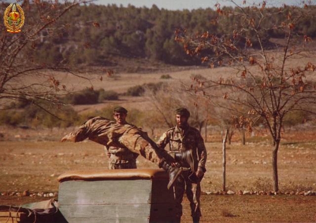 Reemplazo 78-79 J Labordeta 06.jpg